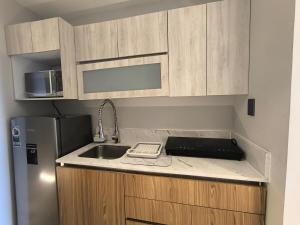 Luxury loft on Av Santa Fe with a Mexican view