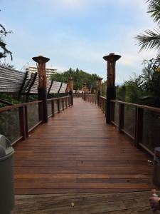 Grand Mayan Vidanta Nuevo Vallarta