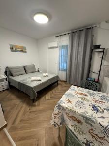 Molly apartman