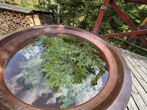 Villa Затишна de luxe