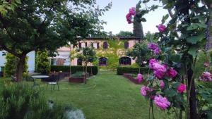 Villa La Ginestra - Charming Country Home