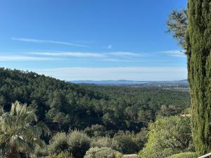 Villa Rhea - piscine -vue panoramique mer et foret