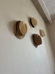 Anima SARDINIA img15