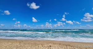 Yoo BG 1BR appartment