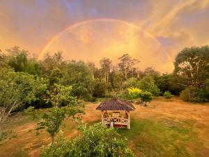Nutshell Cottage - Totally Dog Friendly