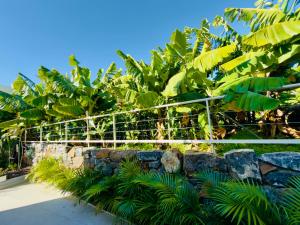 Levada Dreamscape - villa