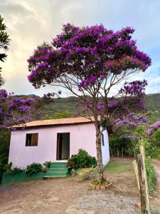 Casa Lilás no Vale do Capão