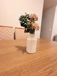 Apartment 10 minutes from the historic center