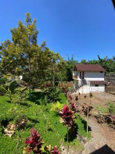 Avocado homestay