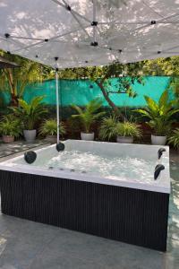 Aamla Villa-Garden Jacuzzi-open cinema-BBQ party