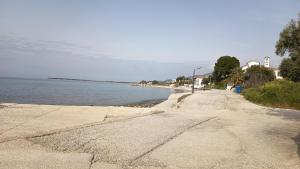 Antonias house on the beach