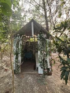 Emerald Lagoon Beach Glamping