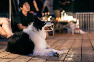 ミスターフォレストプライベートキャンプandサウナ
