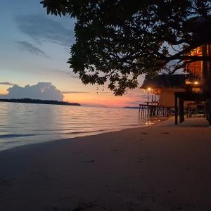 Coco Beach Homestay Raja Ampat