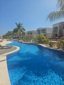 Hawana Salalah - Cozy 1BHK with Outdoor Pool هوانا صلالة - شقة مع مسبح خارجي