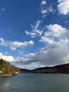 Domki BOHO-Drozdówka Solina 692-281-363