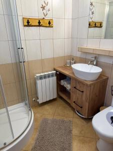 Domki BOHO-Drozdówka Solina 692-281-363