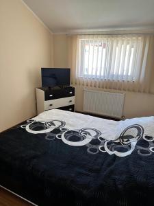 2-room apartment close to the county hospital