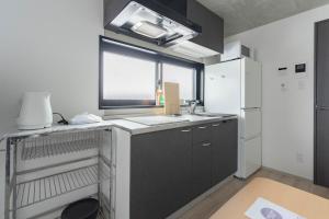 Direct Haneda Narita Ginza Asakusa 5pax New Apt