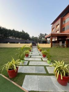 Hotel Tania Searock