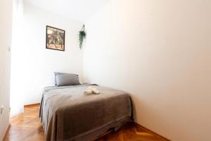 Aparment Zemy