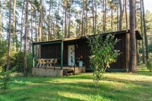 Urlaub im Bungalow mitten im Wald
