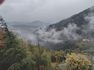 The peace holiday home stay