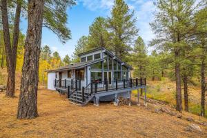 Forest Cabin Retreat Overlooking a Meadow Pond