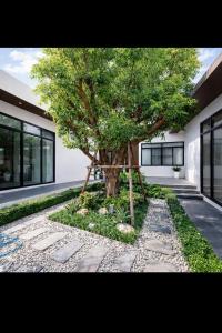 The courtyard tree villa