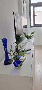 Summer Corner