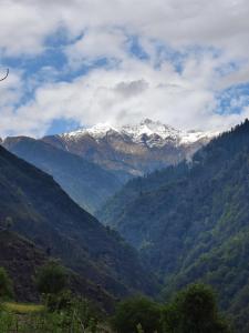 Alveria by Xtastays, Shanshar, Sainj, Kullu