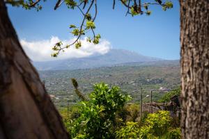 Tenuta Ciuri Country Resort