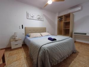 PARRA HOME y Garaje, Algemesi Home