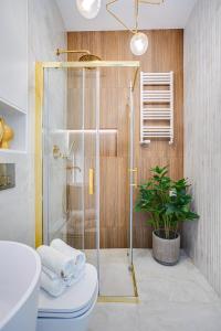 Modern Studio Garbary 62 Złoto & Design