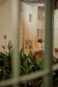 HIDDEN -home-