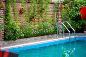 Việt Xưa Homestay