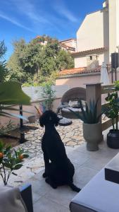 Salt&Sea Summer House Mandre