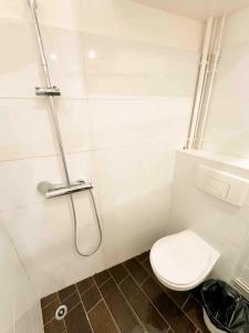 Comfortable apartments in the city center