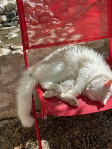 La Tranquilitude