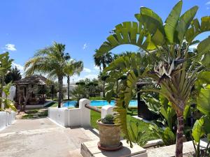 Villa Oasis Hammamet S5