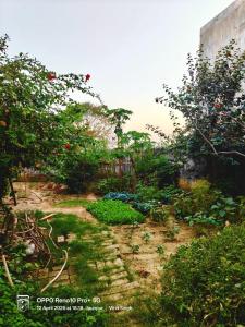Perfect Home Stay for Guests & Families
