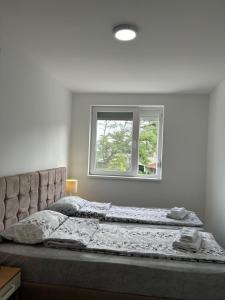 Apartman Miša