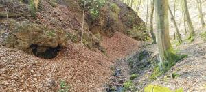 Báránykő Apartman