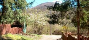 Báránykő Apartman