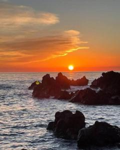 Scalea Parco scalea 2000