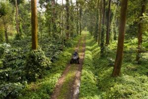 Tusker Trail by LuxUnlock