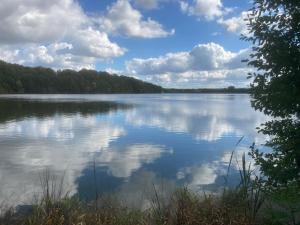 Nr 6 Camping Pod mit Terrasse und Seeblick