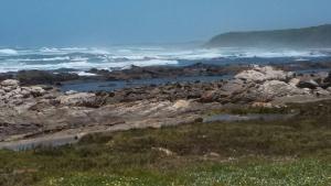 Welbedacht Estate Self catering Accommodation