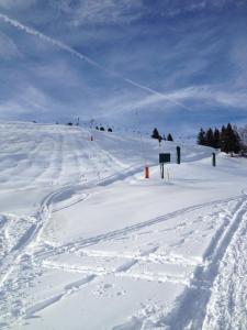 Les Chalets du Bonheur : photos des chambres