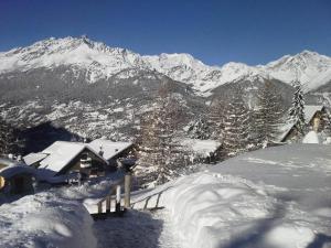 Les Chalets Darrondaz - Appartement 68 personnes avec vue sur la Vanoise MAE-2912